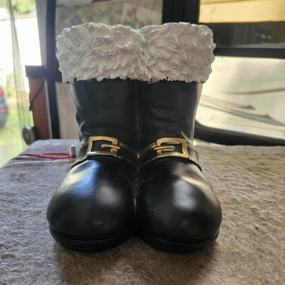 Black Boots with Gold Buckle and White Fur Trim